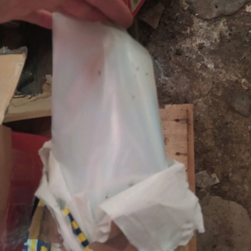 Storage bags like new, unopened pack