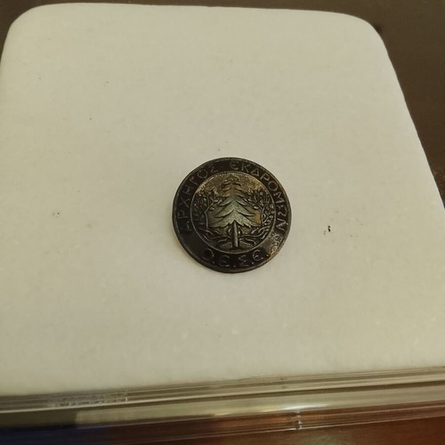 Vintage badge Arhigos Ekdromon used, O.E.S.E.