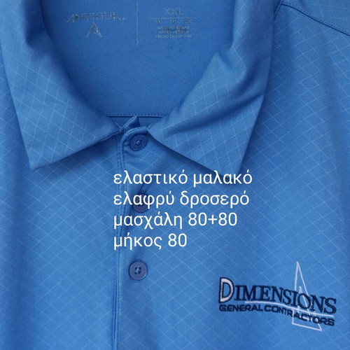 Antigua plus size men's polo shirt, blue, XXL