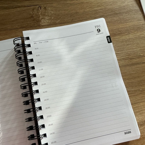 Illusions 2026 daily planner new, handmade