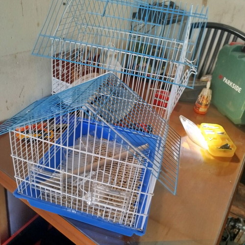 Canary cage like new