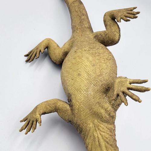 Silicone iguana XL used, in various colors