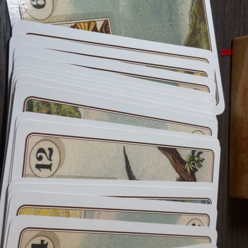 Lenormand Oracle Tarot Cards brand new by Laura Tuan