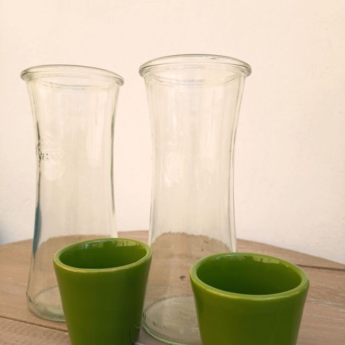 Self-Watering Plant Vases by Nature & Découvertes used