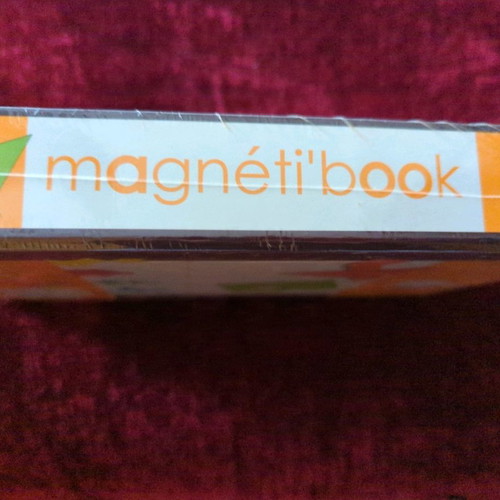 Magnetic Tangram new in case