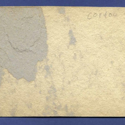 Corfu General View Used Postcard on Thick Cardboard