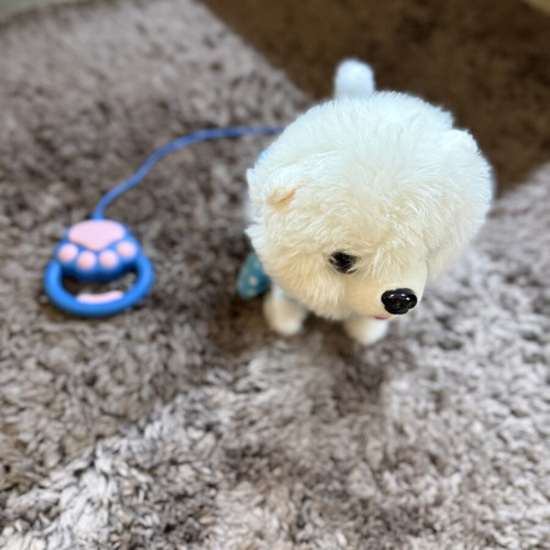 Battery-Powered Puppy Toy like new