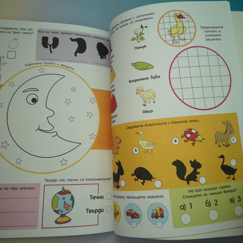 My Huge Book with 500 Scientific Puzzles for Children New