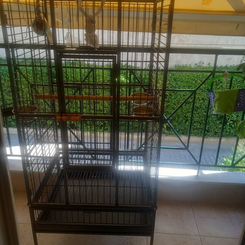 Parrot Cage new 1.50 × 0.60