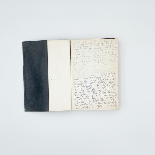 The Social Phenomena used book by Max Nordau