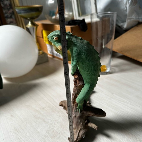 Decorative iguana used with broken tail