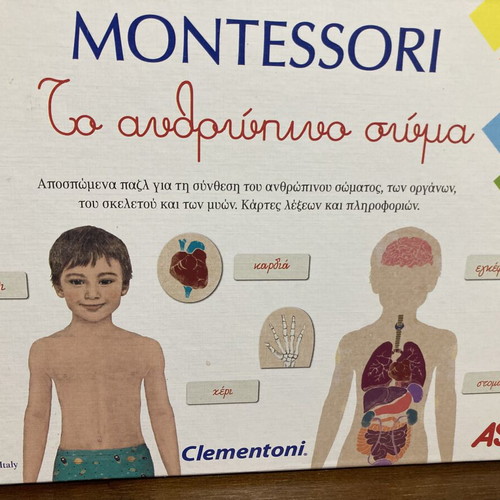 Montessori The Human Body educational puzzle used