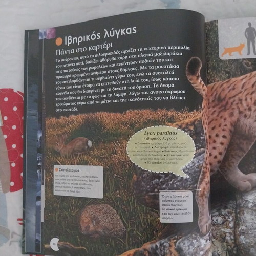 Encyclopedia of Nocturnal Animals, Susaeta