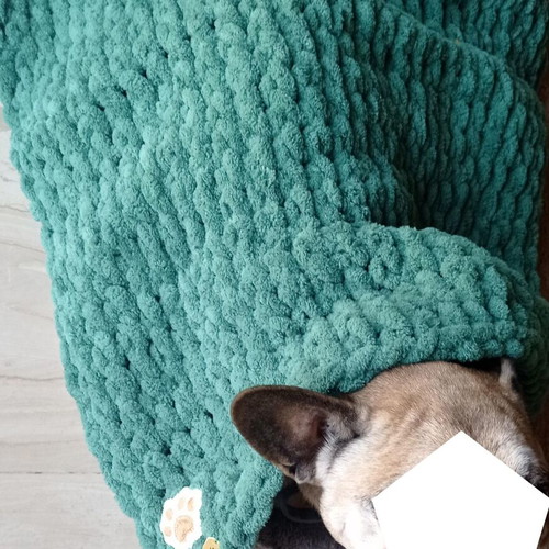 Handmade pet blanket with Alize Puffy yarn, green, made to order
