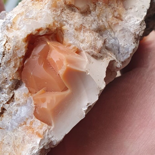 Orange opal from Lesvos island new