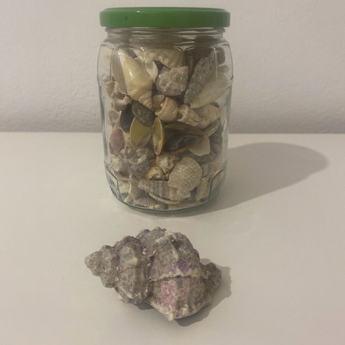 Jar with shells like new from Gibraltar and Greece for decoration