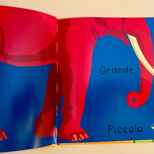 Animali e opposti children's book like new in Italian