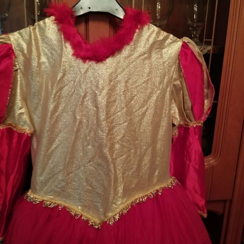 Carnival costume Queen size 10 like new