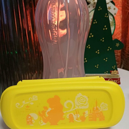 Princess container with 500ml bottle Tupperware new