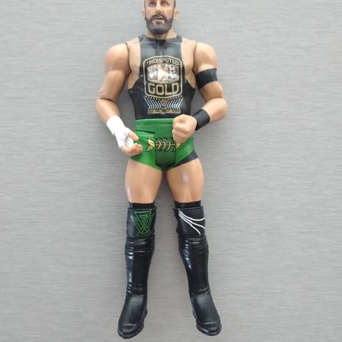 Bobby Fish WWE Pro-Wrestling Action Figure Toy like new