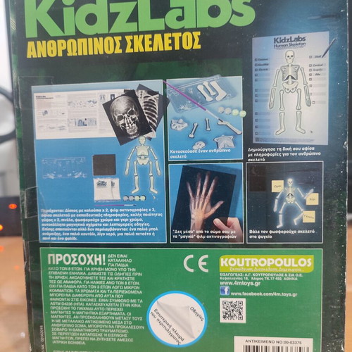 4M KidzLabs Human Skeleton educational toy