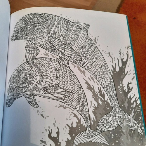 Fish coloring book used