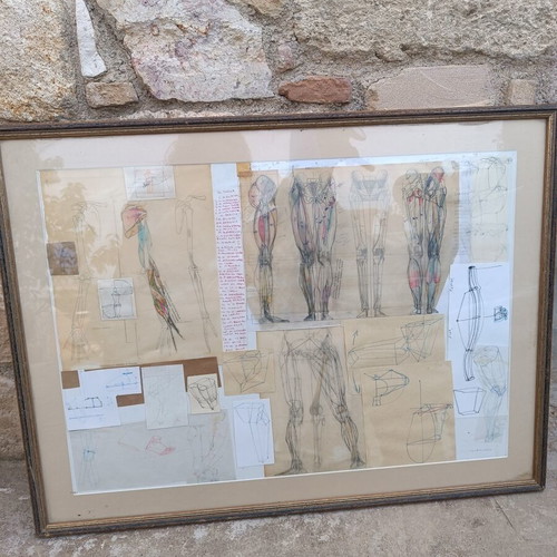 Anatomical Study Board by Efthymios Kollias used, vintage art