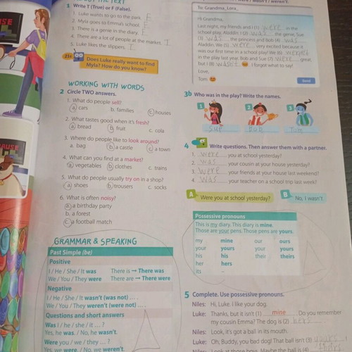 Book Luke & Myla 1: The Magic Diary Student's Book used