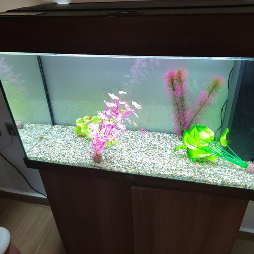 Juwel Rio 125 LED Aquarium set like new with cabinet and extras