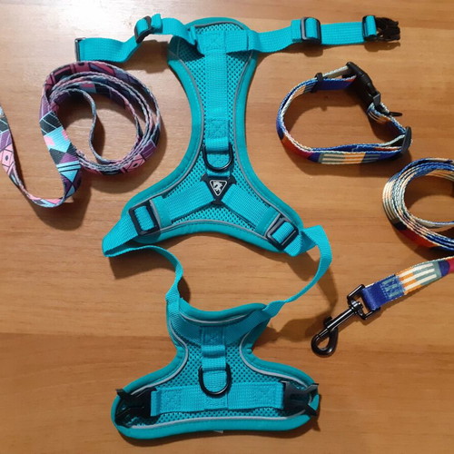 Dog leashes and harness like new, size XL