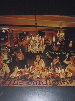 The Cardigans Long Gone Before Daylight double collector LP used