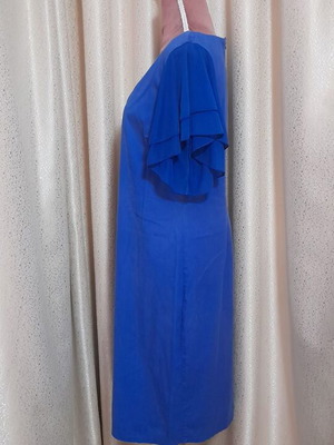 Blue dress with flutter sleeves and V-neck