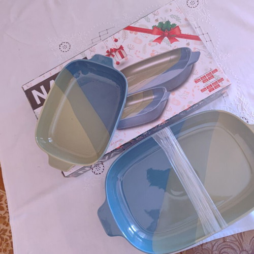 NAVA Stoneware set of 2 rectangular oven dishes
