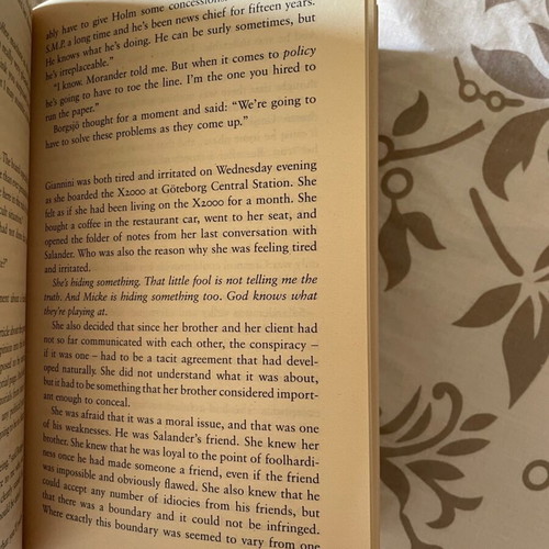 The Girl Who Kicked the Hornets' Nest book like new, English