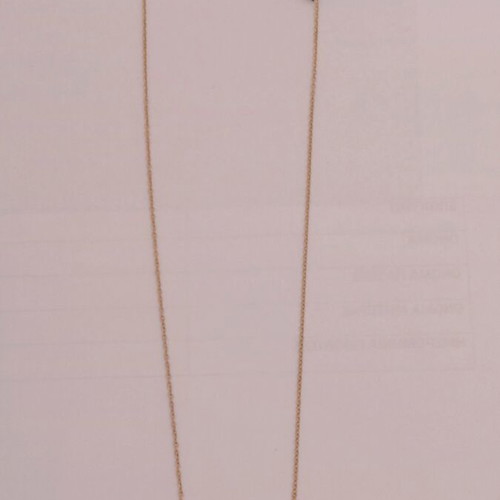 Bella stainless steel necklace with gold-tone heart and angel wings pendant