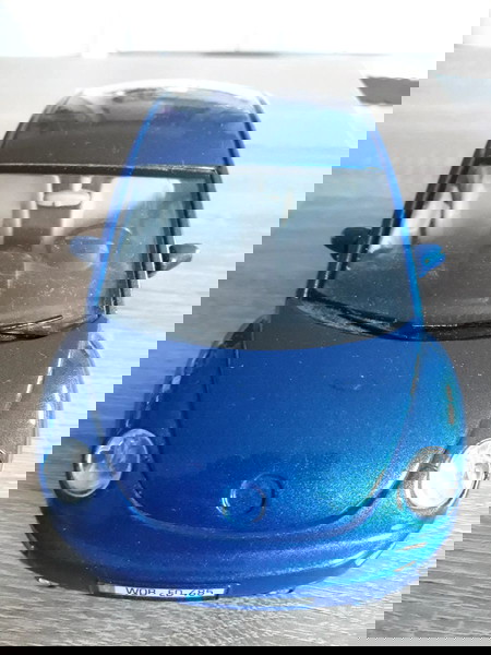 Συλλεκτικος σκαραβαιος