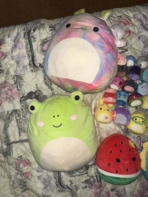 Squishmallows large plush collection