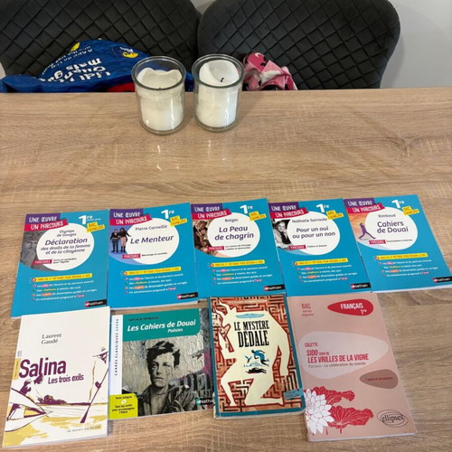 French learning guides and novels used, set of 9 books
