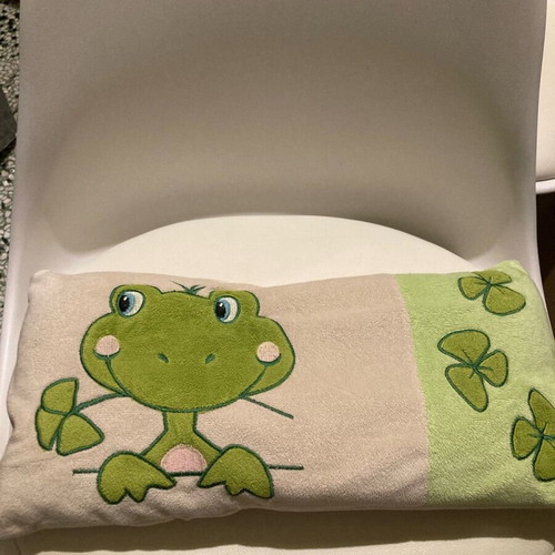 Frog pillow used, rectangular design
