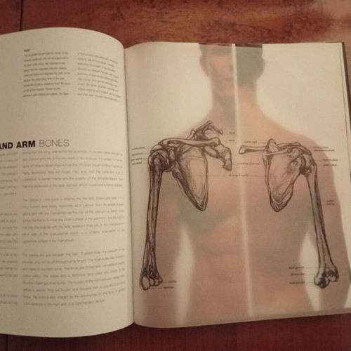 Anatomy books premium editions, like new, art and academic