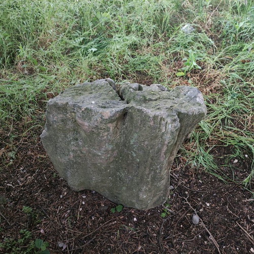 Fossilized tree trunk like new, large size