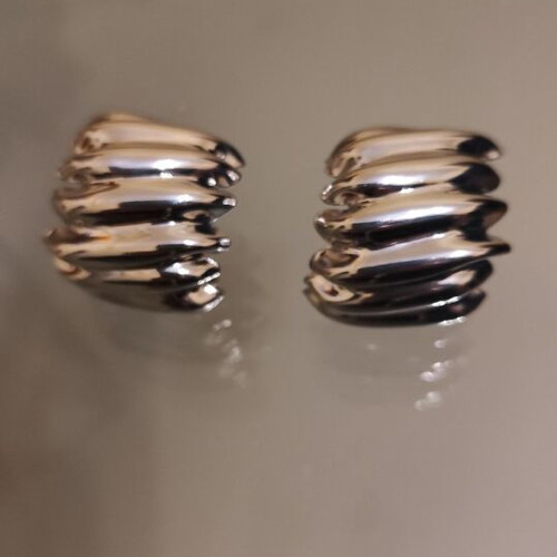 Impressive silver earrings new, iron and titanium steel