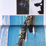 Special Forces Album like new