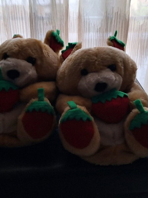 Squirrel slippers like new, size 40-41, beige and red