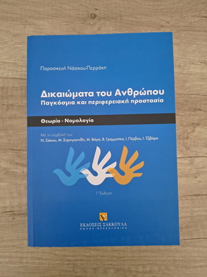 Human Rights Global and Regional Protection book like new