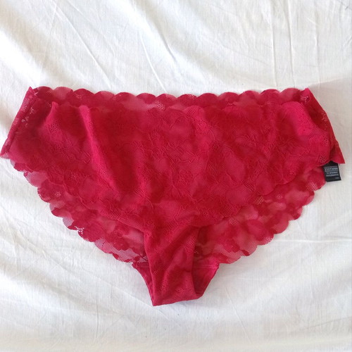 Marks and Spencer lace slip red XL new