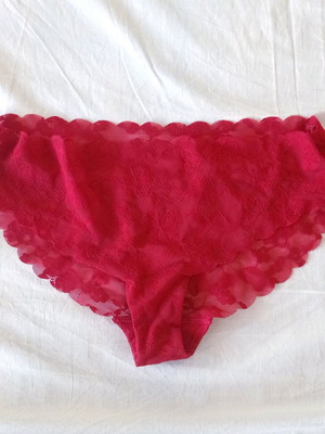 Marks and Spencer lace slip red XL new
