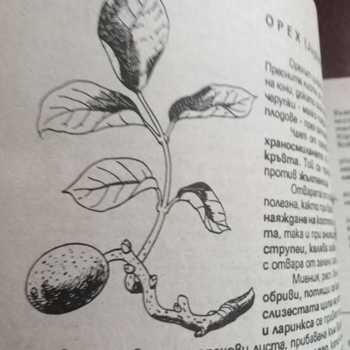 Health from the Lord's Pharmacy book like new