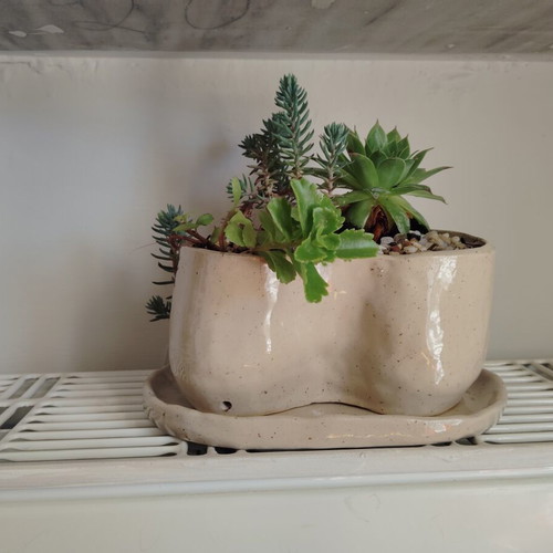 Handmade ceramic planter with plant composition and pebble