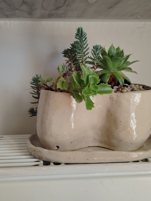 Handmade ceramic planter with plant composition and pebble